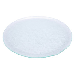 Assiette présentation x 6